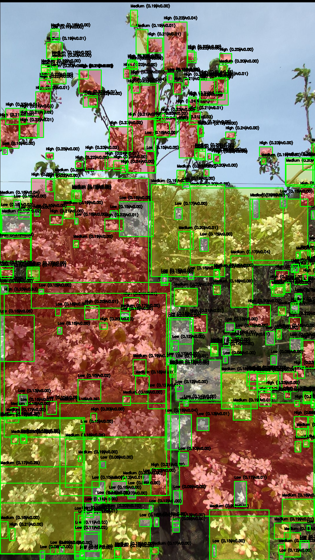 Agricultural AI: Apple Flowers Density Calculation