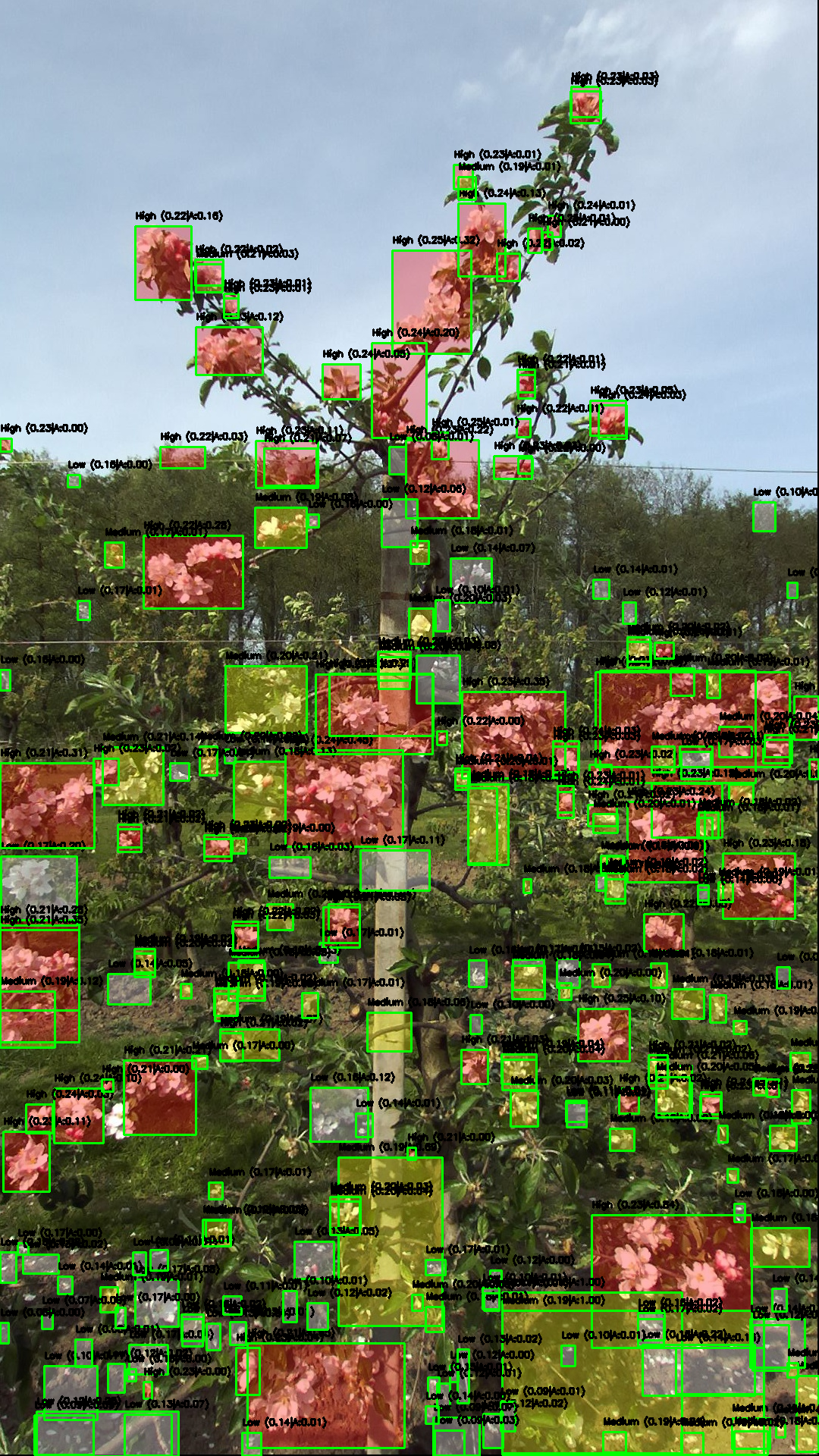 Flower density project image 2